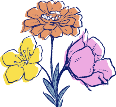 succulents
